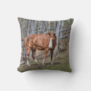 Coussin Ranch Horse Equine Photo Design pour les amateurs 