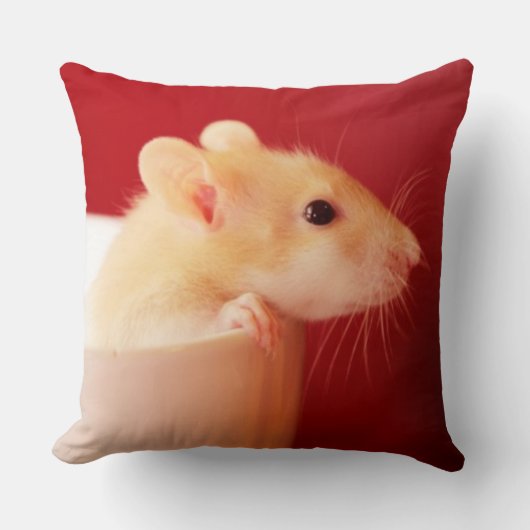 Coussin Rat de bébé (Recto)