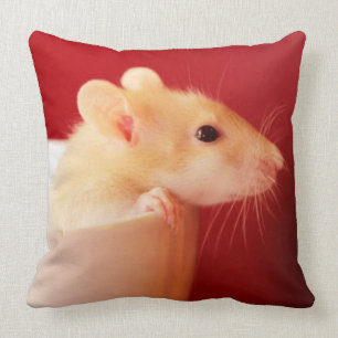 Coussin Rat de bébé