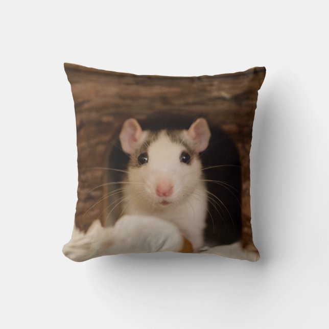 Coussin Rat mignon (Recto)