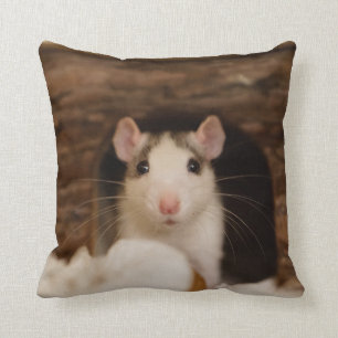 Coussin Rat mignon