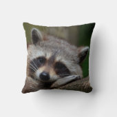 Coussin Raton laveur indigne mignon de bébé (Verso)