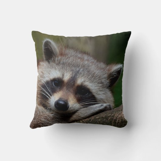 Coussin Raton laveur indigne mignon de bébé (Verso)