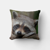 Coussin Raton laveur indigne mignon de bébé (Recto)