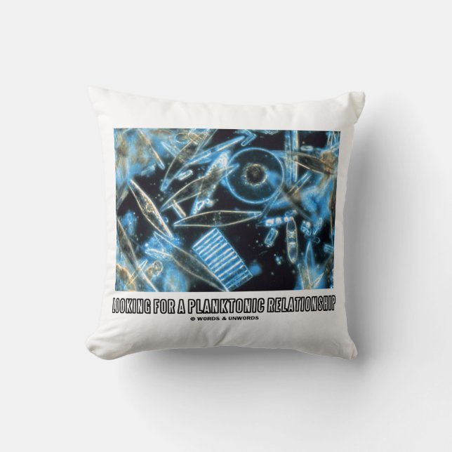 Coussin Recherche De Relation Planctonique Diatomées Humou (Recto)