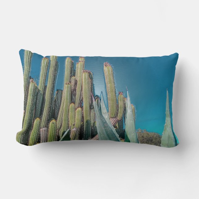 Coussin Rectangle Afrique Désert Cactus Plantes Prickly Pear (Recto)
