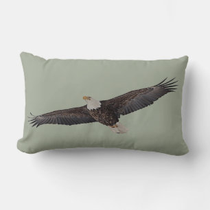 Coussin Rectangle Aigle à tête blanche
