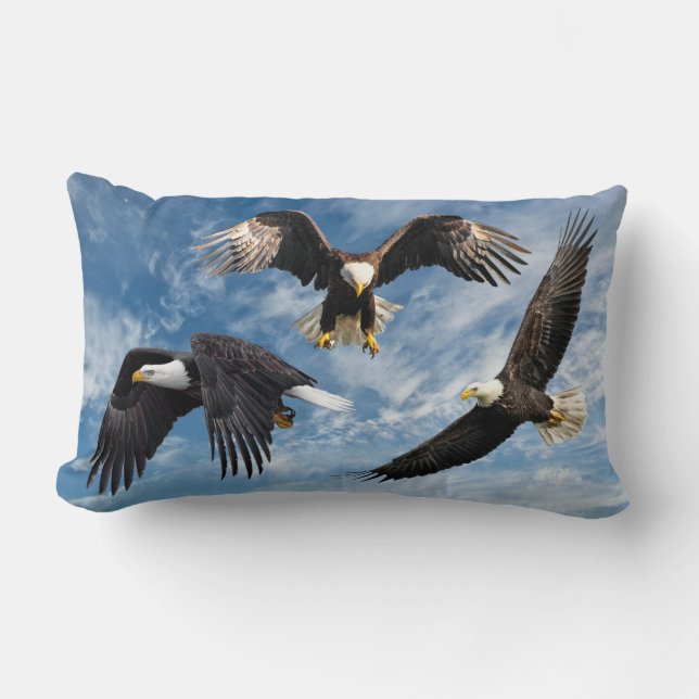 Coussin Rectangle Aigle à tête blanche (Recto)
