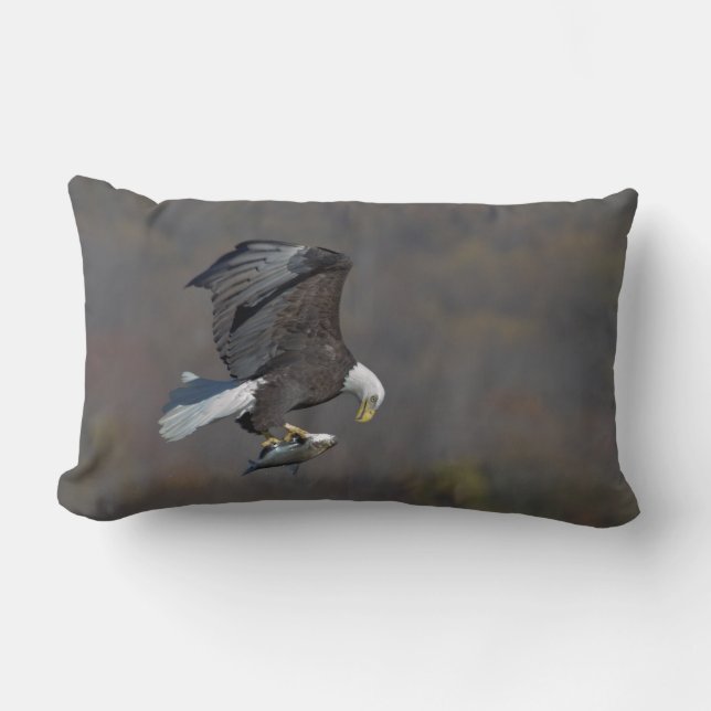 Coussin Rectangle Aigle chauve regardant un poisson (Recto)