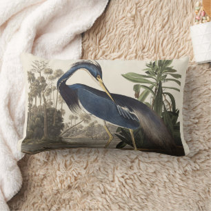 Coussin Rectangle Aigrette de Louisiane, oiseau, Art vintage d'Audub