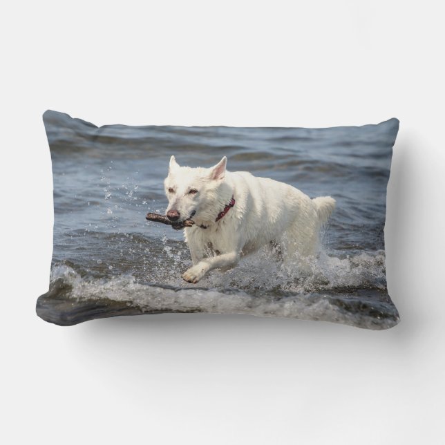 Coussin Rectangle Allemand blanc Shepard sur le lac George (Recto)