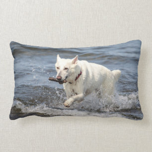Coussin Rectangle Allemand blanc Shepard sur le lac George