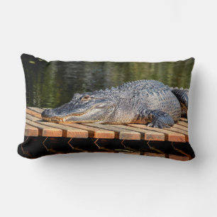 Coussin Rectangle Alligator at Homosassa Springs Wildlife State Park