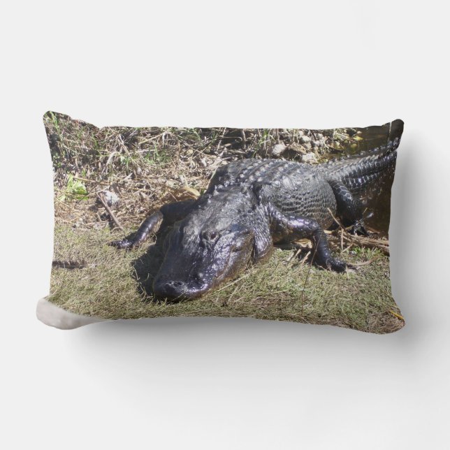 Coussin Rectangle Alligator des Everglades au repos dans une lumière (Recto)