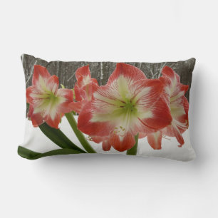 Coussin Rectangle Amaryllis dans la neige Fleurs rouges de vacances