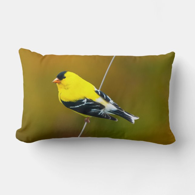 Coussin Rectangle American Goldfinch - Photo originale (Recto)