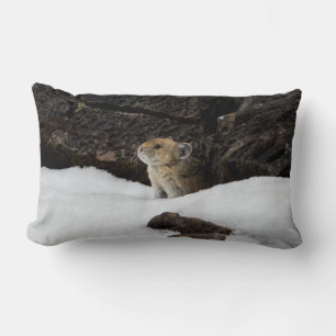 Coussin Rectangle American Pike dans Snowbank