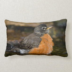 Coussin Rectangle American Robin bain 2