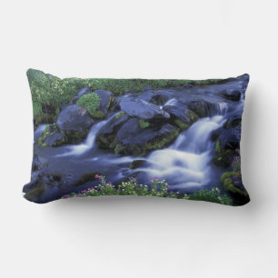Coussin Rectangle Amérique du Nord, États-Unis, Washington, Mt. Rain