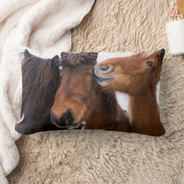 Coussin Rectangle Amis du cheval islandais, Islande (Couverture)