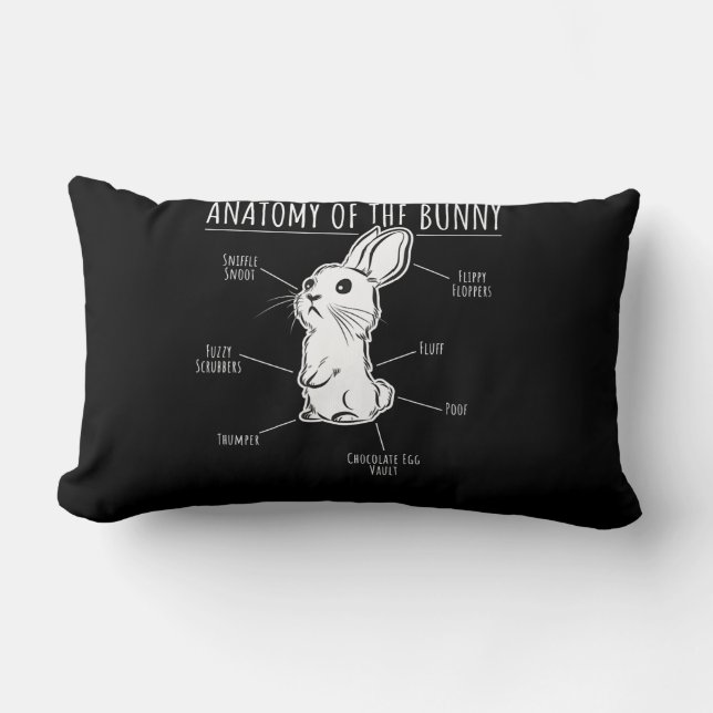 Coussin Rectangle Anatomie Du Lapin - Joli Lapin Animaux De Compagni (Recto)