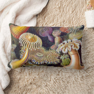 Coussin Rectangle Anémone de mer Nature scientifique Océan