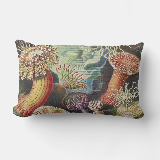 Coussin Rectangle Anémones de mer, Actiniae Seeanemonen Ernst Haecke (Recto)