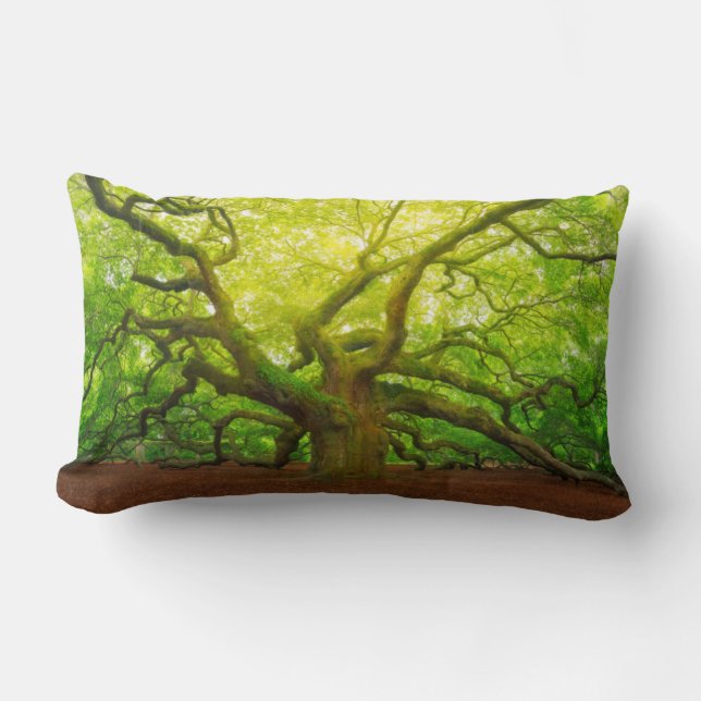 Coussin Rectangle Angel Oak (Recto)