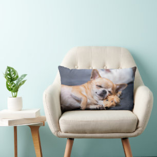 Coussin Rectangle Animaux de bébés cutest Chihuahua Chig aux cheve