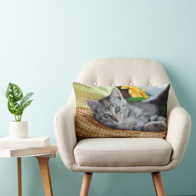 Coussin Rectangle Animaux de bébés cutest | Lounge Kitten (Chaise)