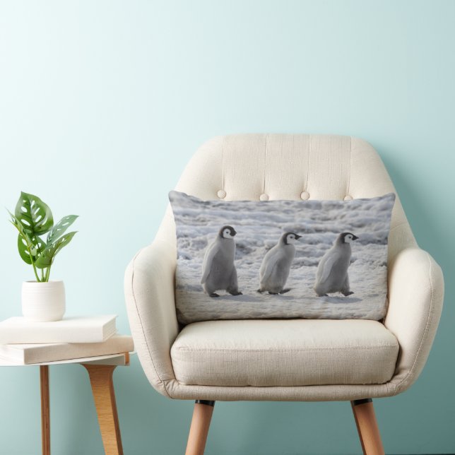Coussin Rectangle Animaux de bébés cutest | Trois Épouses Penguin Em (Chaise)