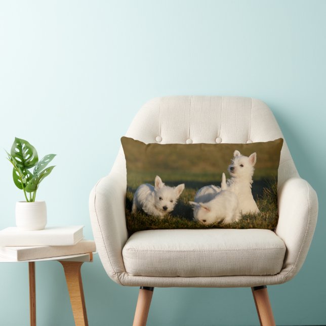 Coussin Rectangle Animaux de bébés cutest | West Highland White Terr (Chaise)