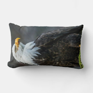 Coussin Rectangle Animaux de l'aigle à tête blanche dans la nature C