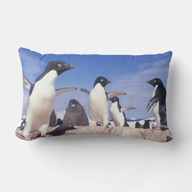 Coussin Rectangle Antarctique, Manchot Adélie Pygoscelis (Recto)