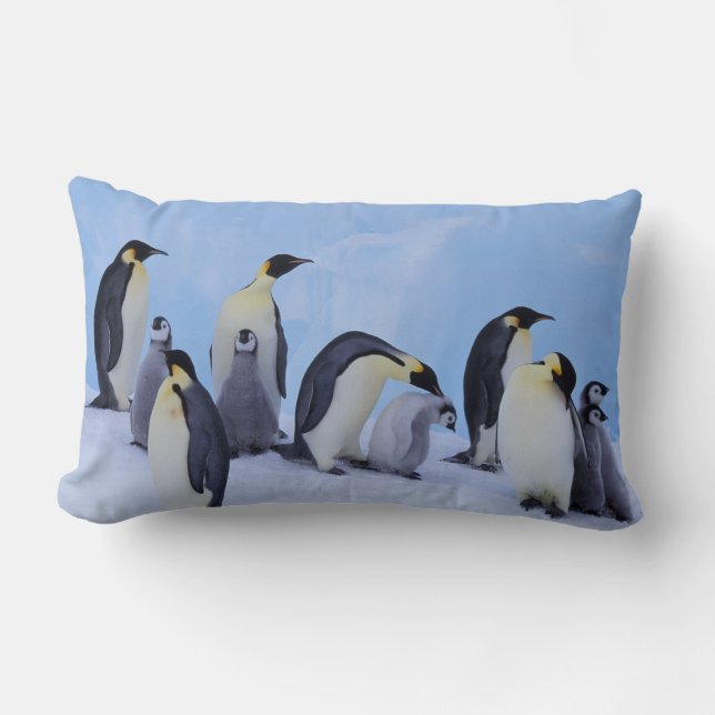 Coussin Rectangle Antarctique, Manchots empereurs (Recto)