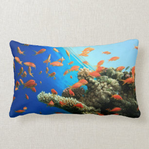Coussin Rectangle Anthias de Lyretail sur le récif coralien