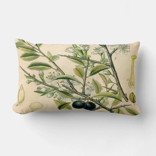 Coussin Rectangle Antique Blackthorn Botanique Imprimé Fleur Berry (Recto)