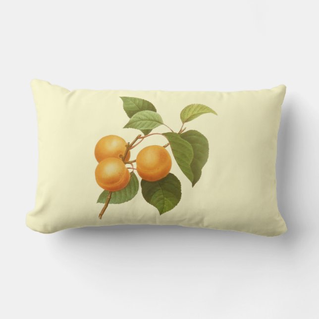 Coussin Rectangle Apricots orange vintage (Recto)