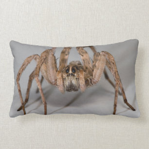Coussin Rectangle Araignée de loup