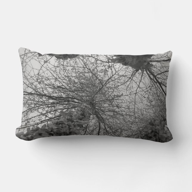 Coussin Rectangle Arbre de bouleau noir et blanc (Recto)