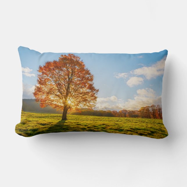 Coussin Rectangle Arbre en feu (Recto)
