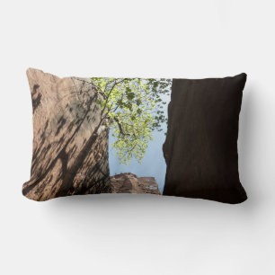 Coussin Rectangle Arbre poussant entre les rochers à Zion National P