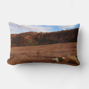 Coussin Rectangle Arches Slickrock et soir Primrose Paysage