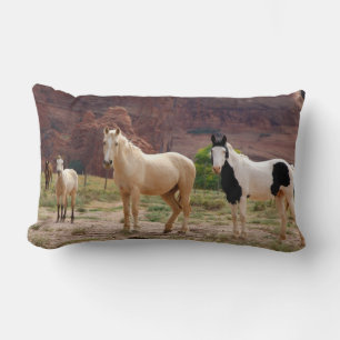 Coussin Rectangle Arizona, réserve indienne navajo, Chinle,