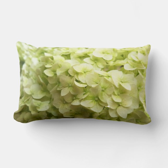 Coussin Rectangle Arrière - plan blanc de fleur d'hortensia (Recto)