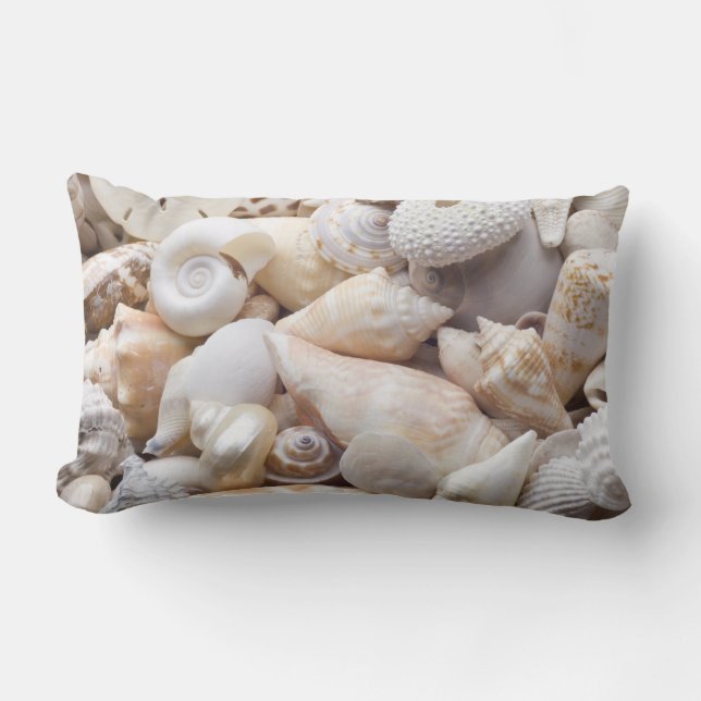 Coussin Rectangle Arrière - plan de Shell de mer de la Floride - la (Recto)