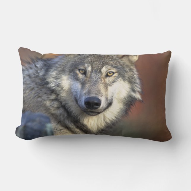 Coussin Rectangle Art de Wolf Lovers (Recto)