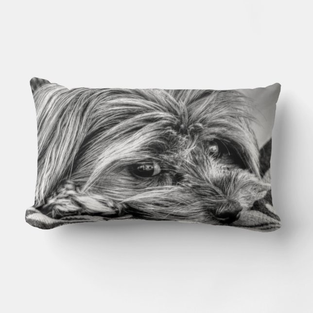 Coussin Rectangle Art noir et blanc mignon de Yorkshire Terrier (Recto)