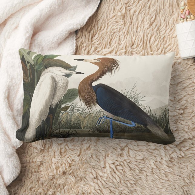 Coussin Rectangle Art vintage de l'aigrette rousse d'Audubon (Couverture)