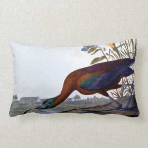 Coussin Rectangle Audubon : IBIS brillant